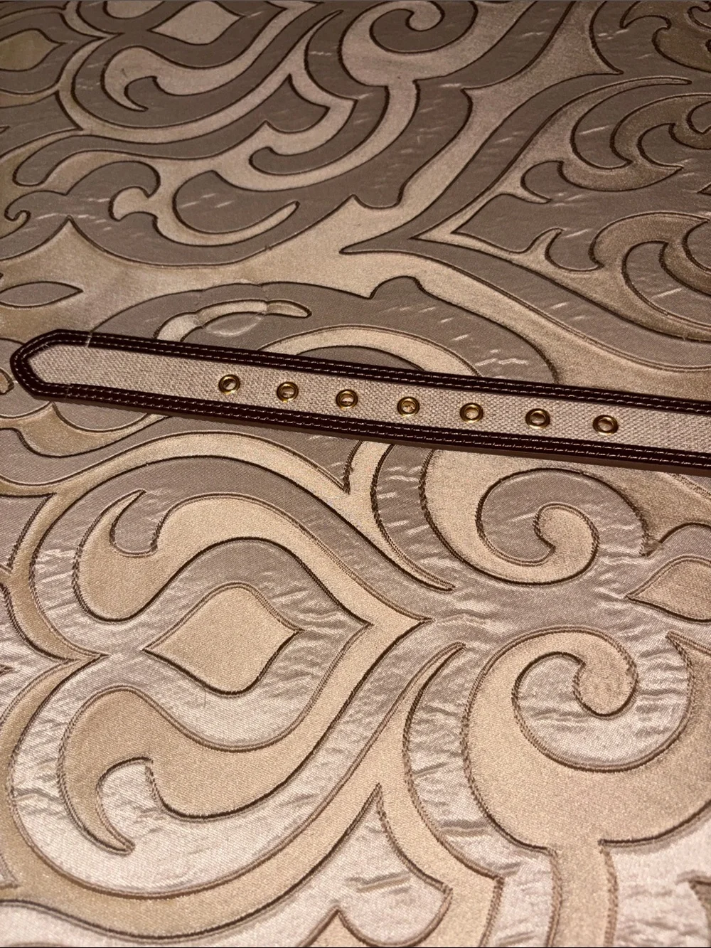 Jason Wu Brown Leather Women’s Large Belt NWT